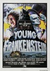 Young Frankenstein (1974)2.jpg